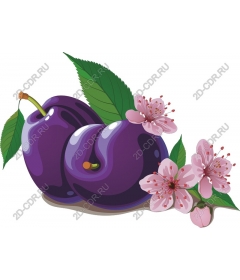  Bright plum and cherry blossoms