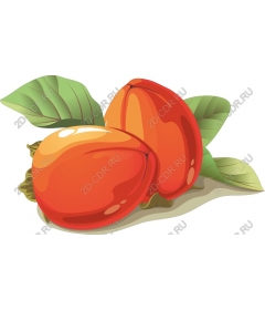  Bright persimmon