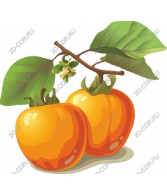  Ripe persimmon