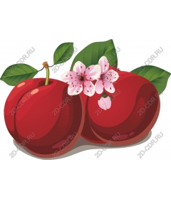 Bright cherry flowers and leaves