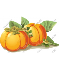 Persimmons Delight: Bright