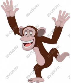 Funny monkey