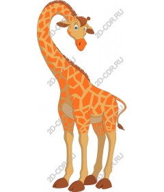 Playful giraffe