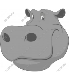  Adorable Hippo