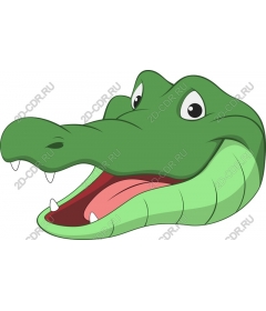Funny head of a crocodile