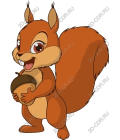  Adorable cartoon squirrel