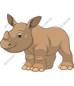  Adorable baby Rhino