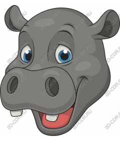  Cute Hippo