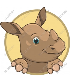 Playful Rhino
