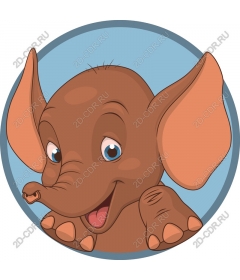 Playful baby elephant