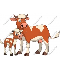  Adorable cow and calf