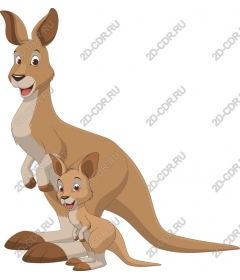  Family Of Kangaroos