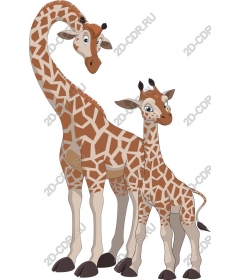  The joy of the family of giraffes