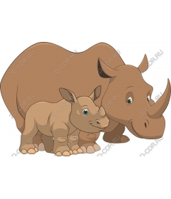  Adorable family of rhinos