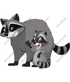  Adorable family of raccoons