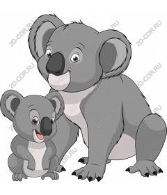  The family Koala