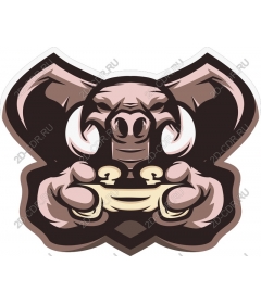 Game controller Boar
