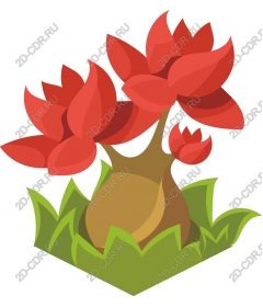  Bright red flower Bush