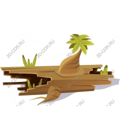  Tropical timber and palm tree