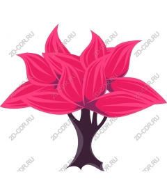  Bright pink leaf tree