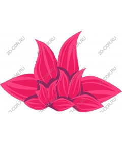  Bright pink sheets