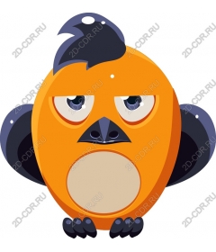  Adorable orange bird