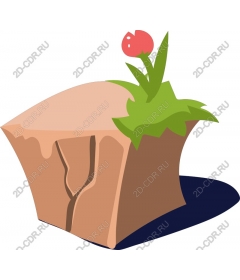  Charming rock with flower /