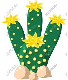  Sunny Cactus delight