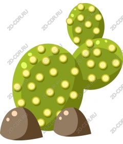  Bright prickly pear cactus
