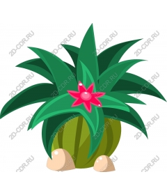  Bright green plant with pink flowers