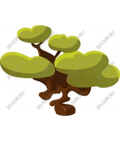  Elegant bonsai tree