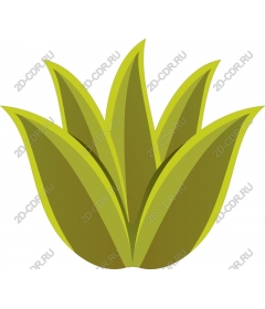  Bright green plant