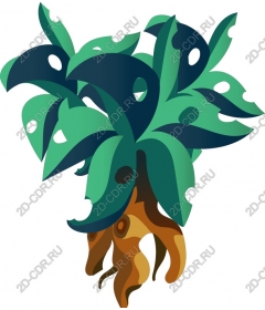  Lush tropical plant