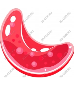  Bright slices of watermelon