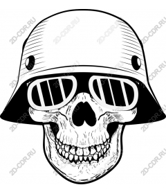  Stylish skull with sunglasses and hat