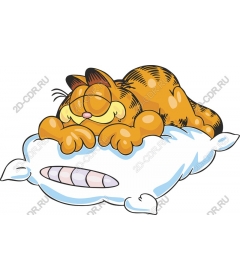  Cozy cat sleep