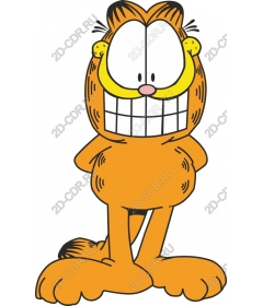 Funny cat