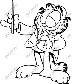  Adorable cartoon cat