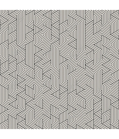  Complex geometric pattern with lines
