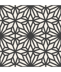 Geometric pattern of leaves