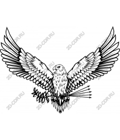  Drawing of a majestic eagle