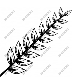  Elegant branch of leaves
