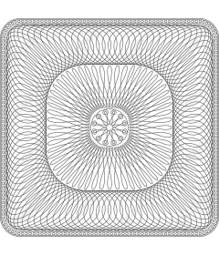  Elegant intricate pattern of lines
