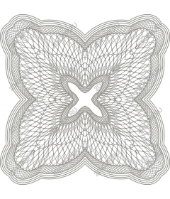  Elegant geometric floral pattern