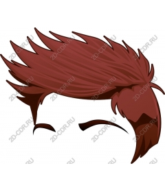  A stylish hairstyles