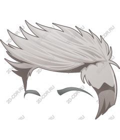  Modern Hairstyle