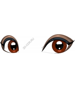 Stunning brown eyes