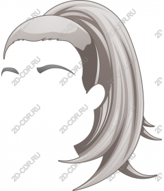 Sleek ponytail