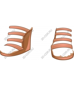  Elegant wedge sandals