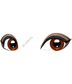  An Elegant Eye